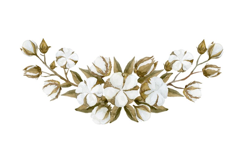 Watercolor Cotton Flower Frames Clipart Borders Bouquets | Etsy