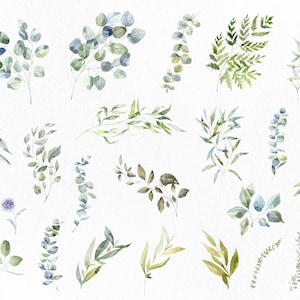 Aquarel Groene Takken Clipart Bladeren Eucalyptus Fern Dusty Miller Floral Plant Tree Greenery Forest Foliage Logo Trendy Bruiloft PNG