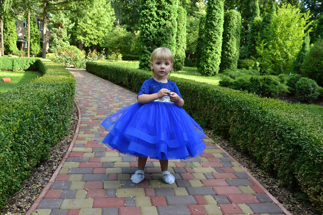 First Birthday Dress Royal Blue Dress Toddler Flower Girl Etsy