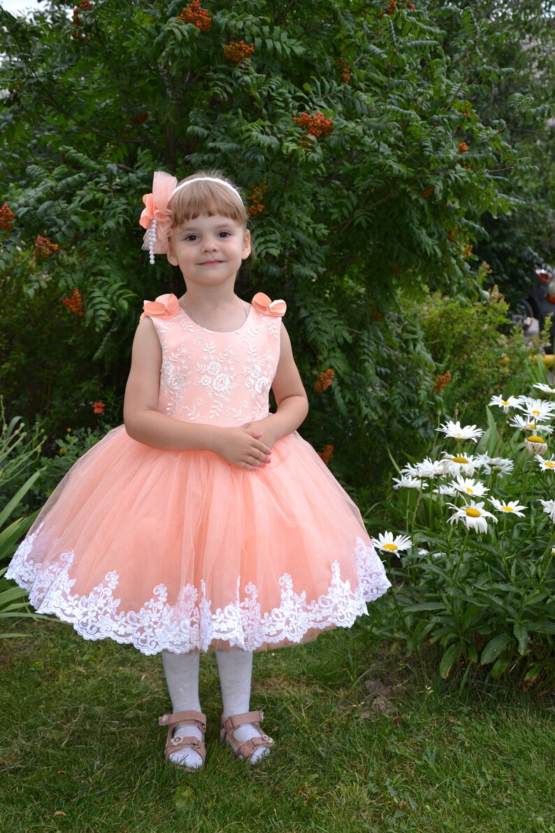 First Birthday Dress Peach Flower Girl Dress Lace Toddler Etsy