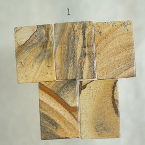 May include: Five rectangular, polished stones with a natural, earthy appearance. The stones feature a mix of tan, brown, and gray hues, with unique veining patterns. The top right corner of the image has the number "1" on a white label.