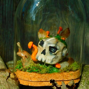 May include: A decorative glass cloche featuring a skull with orange mushroom accents, crystals, and green moss. A small figurine is also present. The cloche sits on a cork base, creating a unique terrarium display.