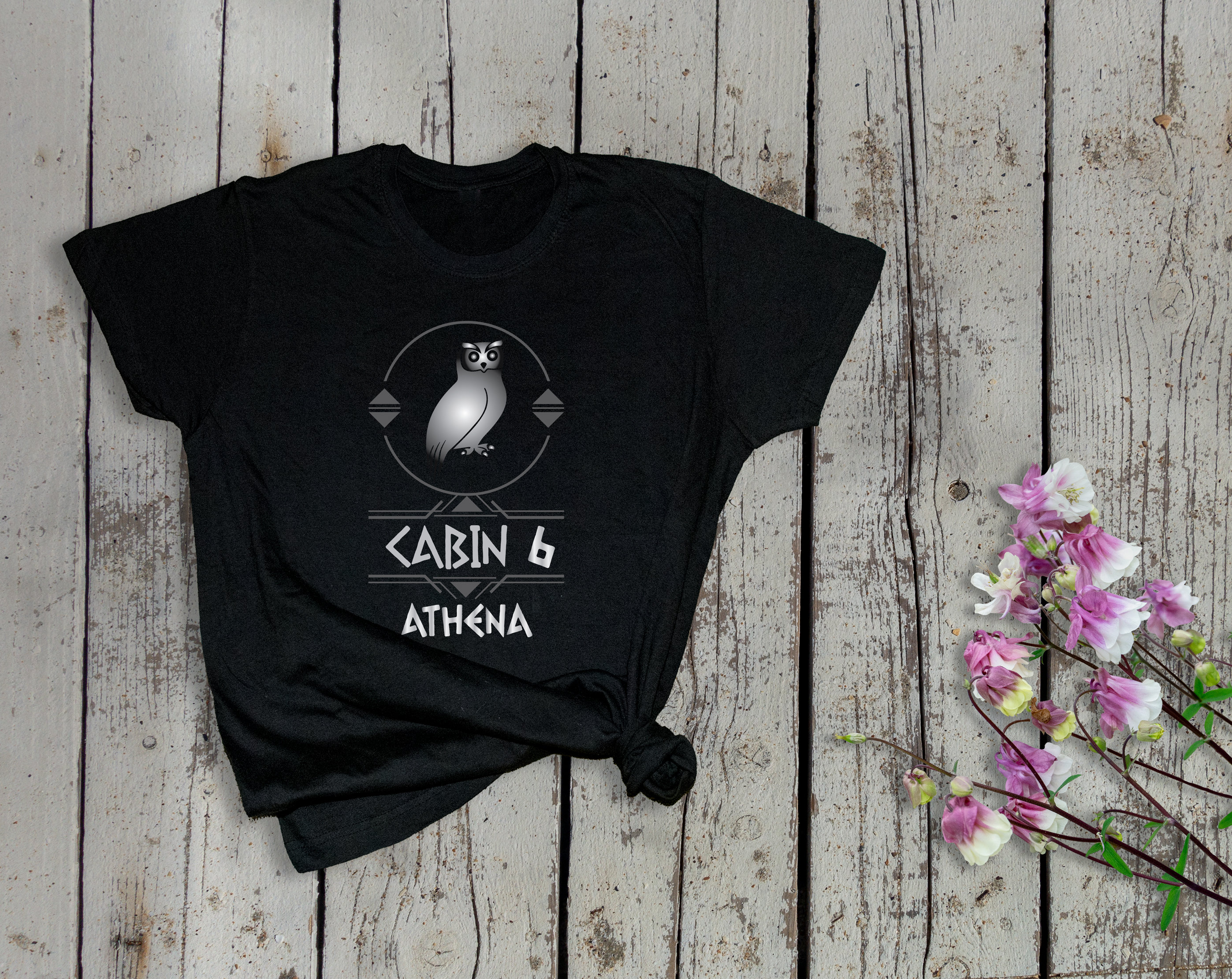 Shop Premium Camp Half Blood Cabin 6 Athena T-Shirt - Davson Sales