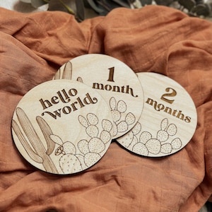 Baby Milestone Plaque| Baby milestones wooden |Monthly Baby milestones 4”|Baby milestones round |Baby plaques set|Baby Milestone|Baby’s age