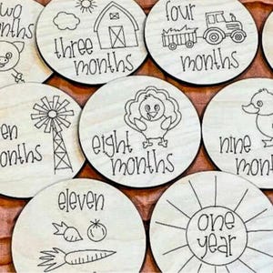 Baby Milestone Farm| Disques des jalons mensuels|Signes mensuels pour bébé| Jalons animaux|Accessoires photo mensuels animaux|Cartes jalons bébé