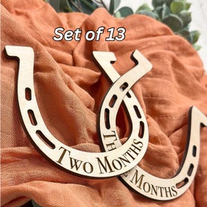 Hitos mensuales del bebé del oeste / Hitos del bebé de madera / Regalo de baby shower del oeste / Guardería infantil con temática de caballos / Hitos del rodeo del oeste