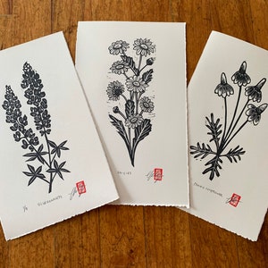 Puede incluir: Tres estampados botánicos en blanco y negro sobre papel blanco. Los estampados representan una lupina, margaritas y equinácea de las praderas. Cada estampado está firmado y numerado.