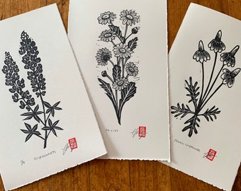 May include: Three black and white botanical prints on white paper. The prints feature a lupine, daisies, and prairie coneflower. Each print is signed and numbered.