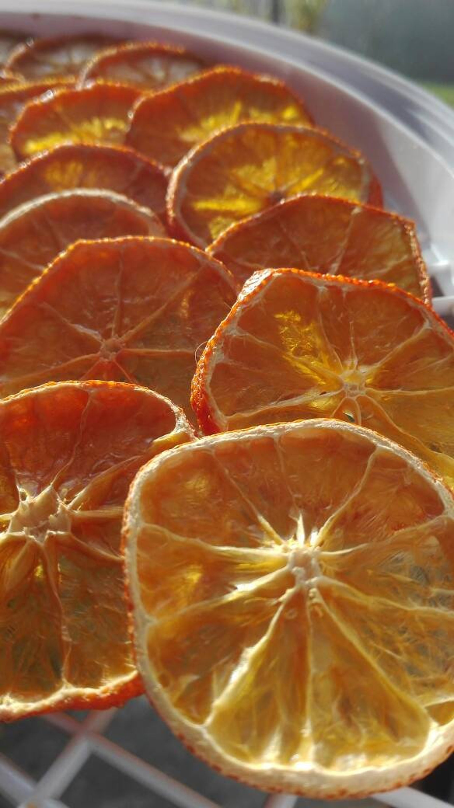 20 Pc Dried Tangerines Etsy