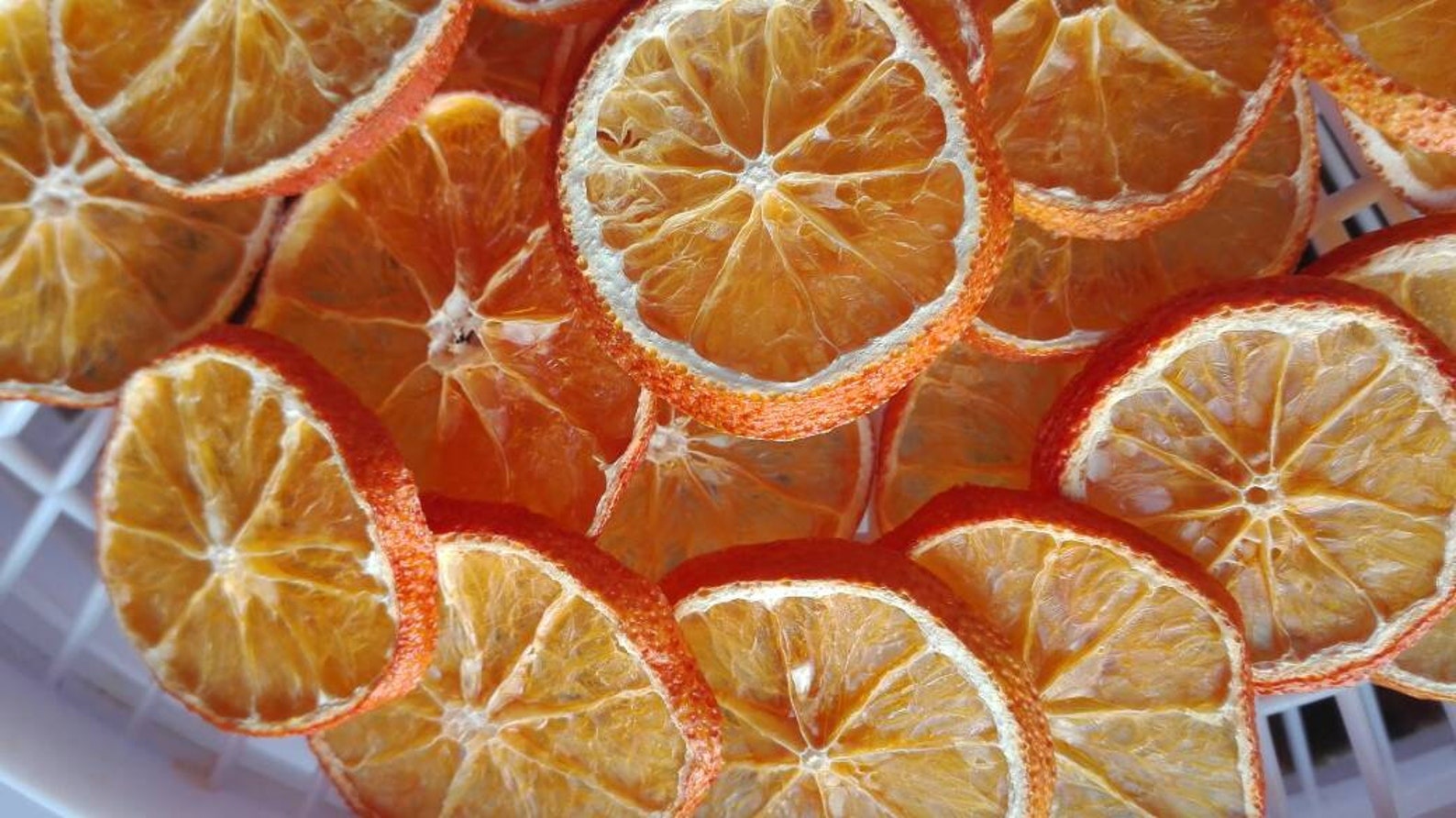 20 Pc Dried Tangerines Etsy
