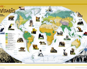 World of Animals Map