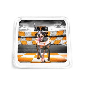 Tennessee Volunteers | Checkerboard Neyland | Smokey | Bar Coaster | Drink Coaster