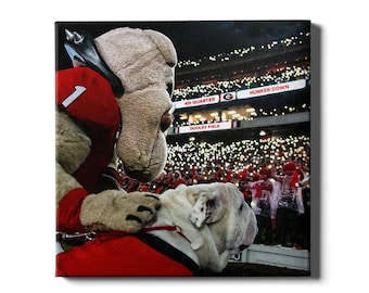 May include: A white and gray bulldog mascot wearing a red and black jersey with the number 1 on it. The mascot is holding another white and gray bulldog mascot. The background is a stadium with a crowd of people. The scoreboard reads "4th Quarter" and "Dooley Field".