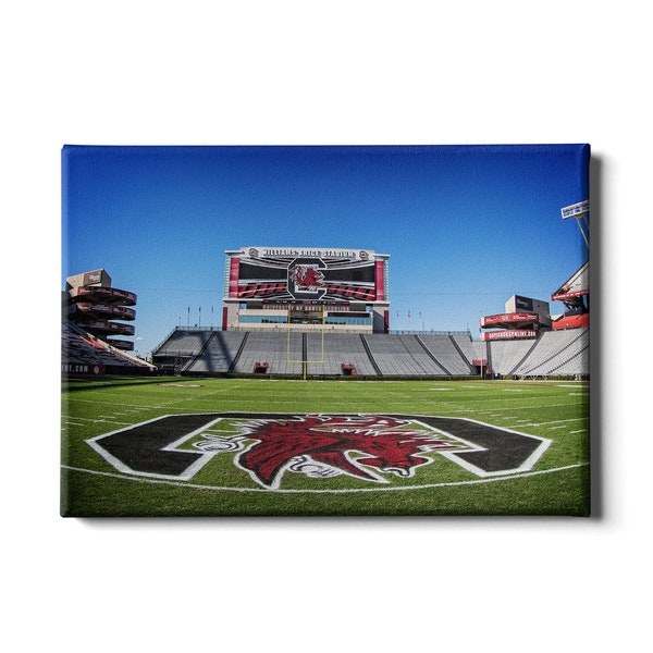 Williams Brice Stadium | South Carolina Gamecocks | Gamecocks | Williams Brice 50 Yard Line | Space Odyssey | Canvas Wall Art