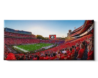 May include: Panoramic canvas print of a packed football stadium filled with fans wearing red. The field is green, and the sky is blue. A large screen displays the team's logo. The word "BULLDOGS" is visible on the field.