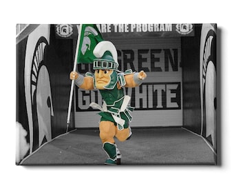 May include: A black and white image of a Spartan mascot holding a green flag with the words "Go Green Go White" and "We Are The Program" on the wall behind him.
