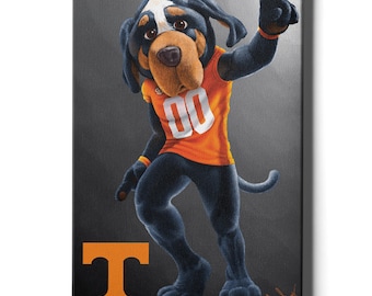 NCAA Tennessee Volunteers 2-Piece Ceramic Mascot Bust & Figurine Ornament Set NCAA Tennessee Volunteers 2-Piece Ceramic Mascot Bust & Figurine Ornament Set