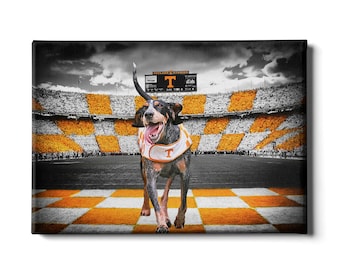 Puede incluir: Impresión en lienzo que presenta un perro con un pañuelo de los Tennessee Volunteers, caminando sobre un campo de tablero de ajedrez. El fondo muestra un estadio lleno de asientos naranjas y blancos. El marcador muestra la palabra "dish".