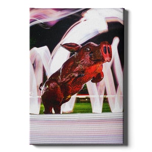 Arkansas Razorbacks | Fayetteville Hog | University of Arkansas | Razorback Stadium | Canvas Print | Wall Art