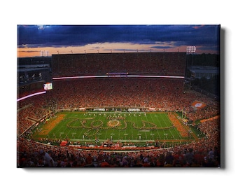 Clemson Memorial Stadium Canvas Wall Art | Tigers Football Decor