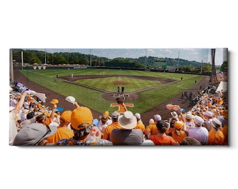 Tennessee Volunteers Baseball Canvas Art | Lindsey Nelson Field