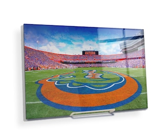 Florida Gators Desktop Acrylic | Ben Hill Griffin Stadium Art
