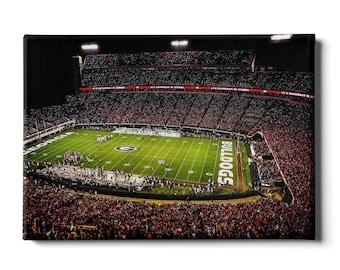May include: An aerial view of a packed football stadium at night. The field is green with white yard lines and a large 'BULLDOGS' written in white on the end zone. The stands are filled with a sea of red and white.