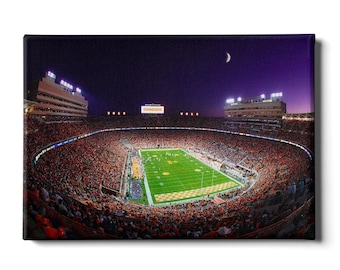 Opera d'arte dei Tennessee Volunteers al Neyland Stadium / Tela, metallo o acrilico
