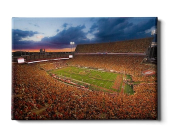Clemson Memorial Stadium Wall Art | Tigers Football Canvas, Metal, or Acrylic