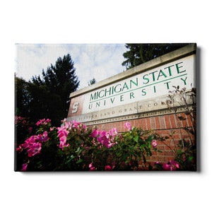Michigan State University | Spartans | Canvas Wall Art | Metal Wall Art | Acrylic Wall Art