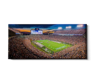 Auburn Tigers Panoramic Canvas | Jordan Hare Stadium Wall Art