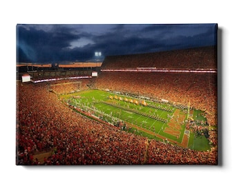 Clemson Memorial Stadium Canvas | Tigers Football Metal, Acrylic Wall Art