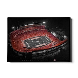 Georgia Bulldogs | UGA Sanford Stadium | Georgia Football | UGA | Bulldogs | Canvas Wall Art | Metal Wall Art | Acrylic Wall Art