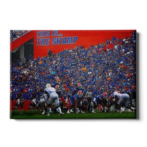 Florida Gators | In the Swamp | Gator Football |  Ben Hill Griffin Stadium | University of Florida | Wall Art