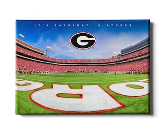 Georgia Bulldogs Sanford Stadium Canvas Wall Art | UGA Home Decor