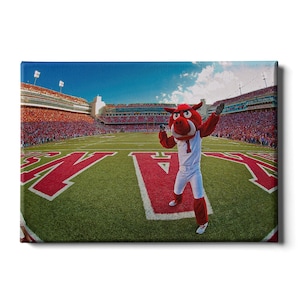 Arkansas Razorbacks | Big Red End Zone | University of Arkansas | College Mascot | Arkansas Mascot | Canvas Print | Wall Art