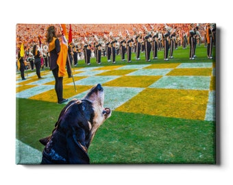 Stampa su tela/metallo del Neyland Stadium con l'immagine dello stadio "Tennessee Volunteers Smokey".