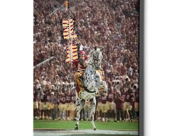 May include: A white and black spotted horse rearing up on its hind legs. A person in a red and gold uniform is riding the horse. The horse and rider are in front of a large crowd of people.