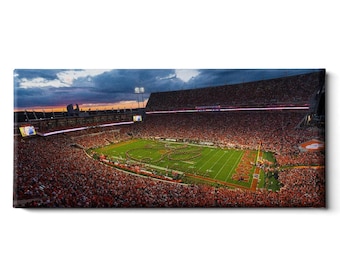 Clemson Death Valley Stadium Wall Art | Canvas or Metal, 36x16