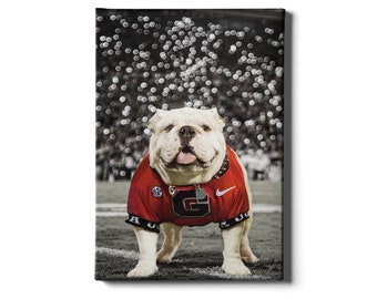 May include: A white bulldog wearing a red and black University of Georgia football jersey with a white 'G' on the front. The dog is standing on a green field with a blurred background of a stadium crowd.