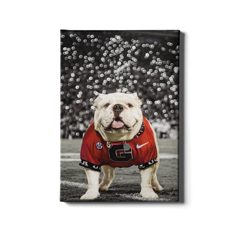  NCAA Georgia Bulldogs T-Shirt for Dogs & Cats, Small