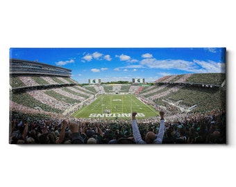 May include: A panoramic view of a packed football stadium with a green field and a blue sky. The crowd is cheering and the words "SPARTANS" are visible on the field.