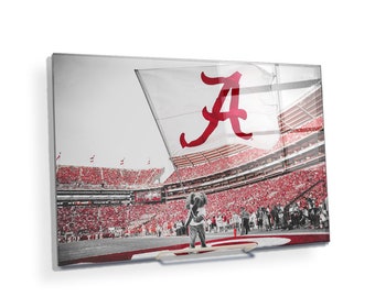 May include: A red and white flag with a large red "A" on it hangs over a stadium filled with red seats. A large elephant mascot stands on the field in front of the crowd.