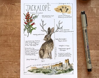 Jackalope Field Report - Giclée Print