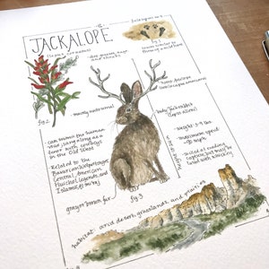 Jackalope Feldbericht - Giclée Druck Bild 5