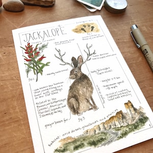 Jackalope Feldbericht - Giclée Druck Bild 3