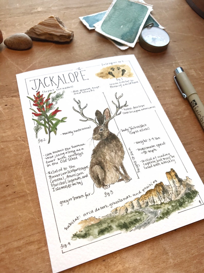 Jackalope Feldbericht - Giclée Druck Bild 3