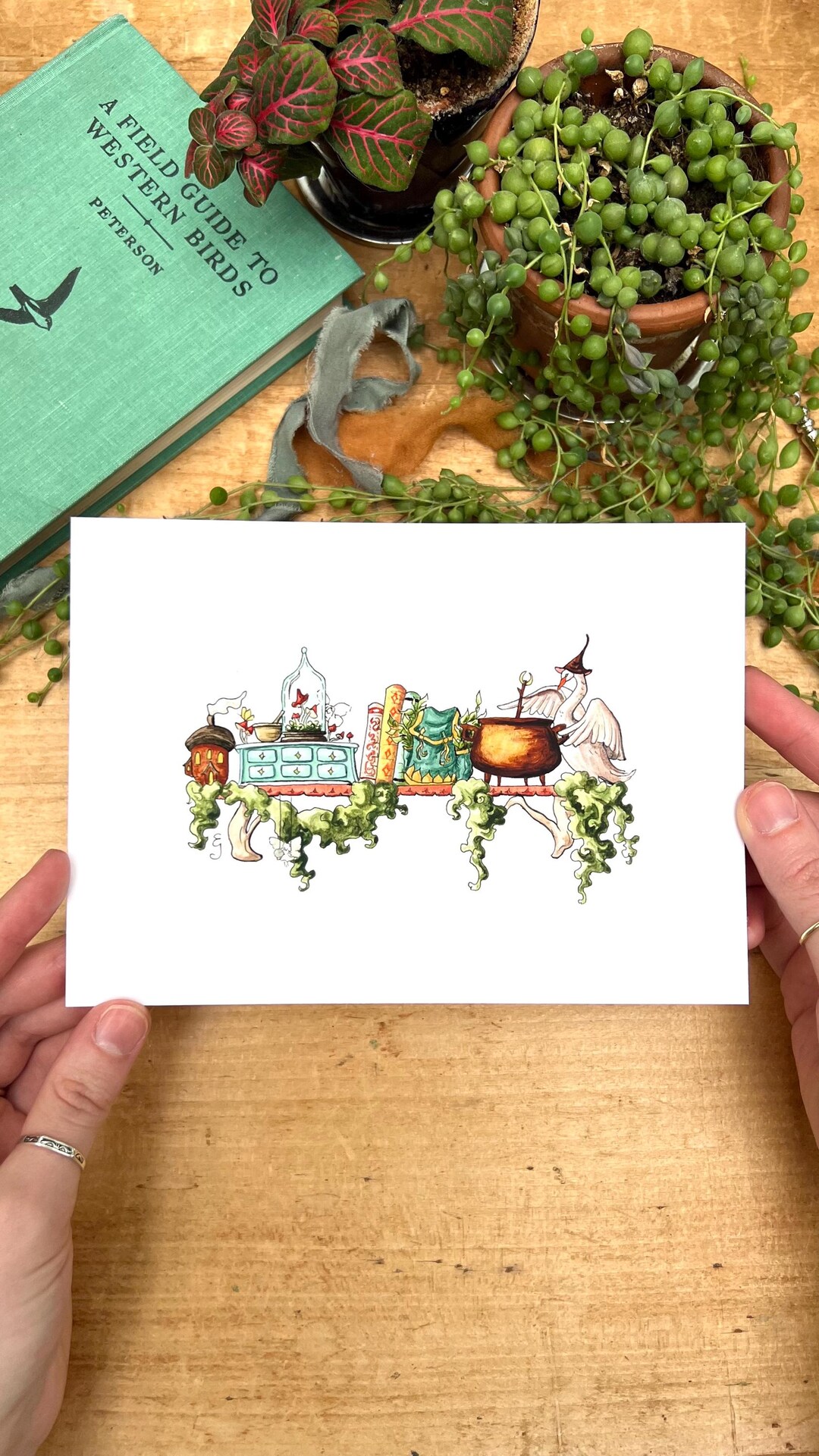 The Mini Fairy Witch's Shelf Giclée Print - Etsy