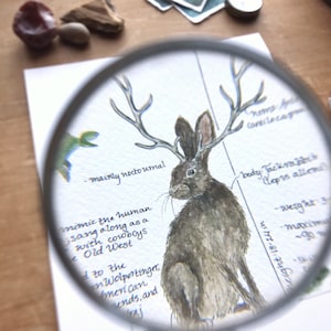 Jackalope Feldbericht - Giclée Druck Bild 8