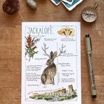 Cryptid Art Prints